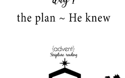 {1} the plan. He knew